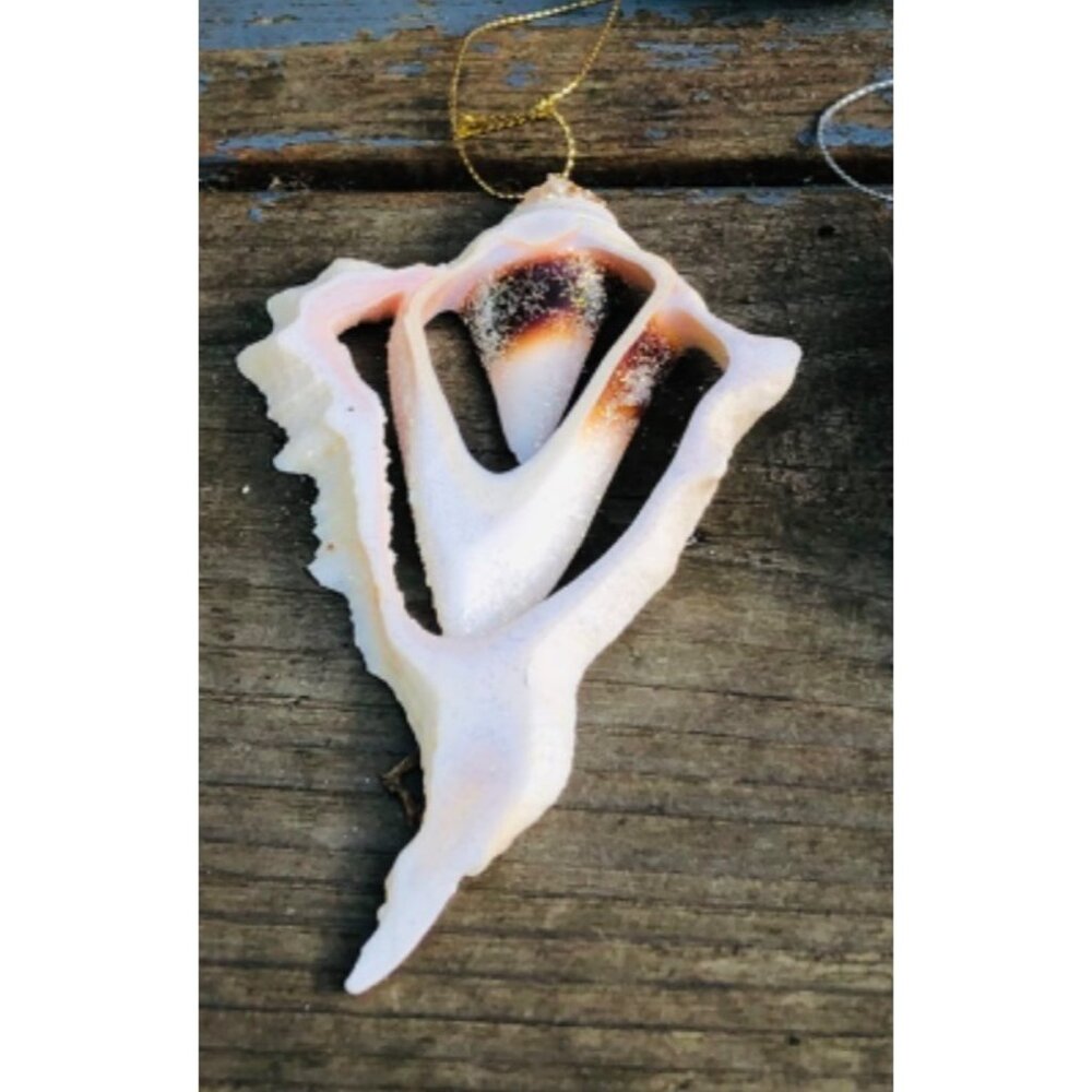Lot of 5 Handmade Glittered Seashell Christmas Ornaments Angel Murex Clam Coasta - Picture 8 of 11